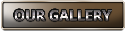 our-gallery-2.png